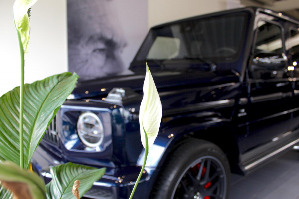 Porsche Cayenne 3.0 E-Hybrid NL|SportDesign|Alcantara|4W stur|VOL