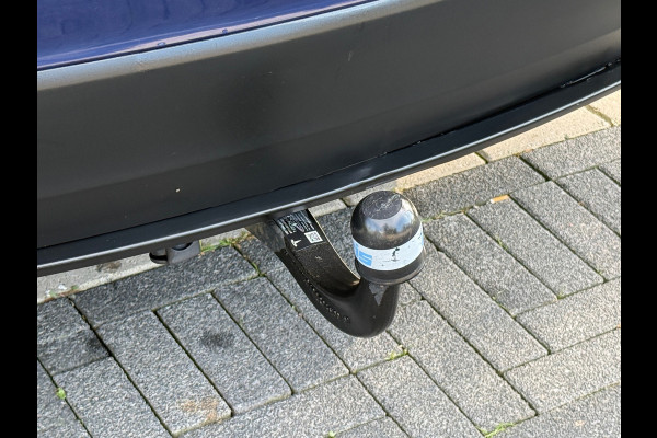 Tesla Model X 100D 6 Persoons / 22 Inch / Trekhaak / ACTIE