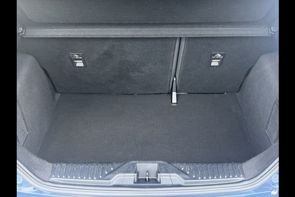 Ford Fiesta EcoB. ST-Line WINTERPACK/TREKHAAK