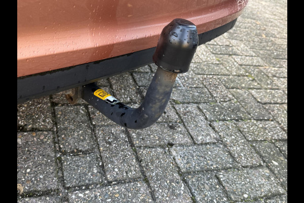 Ford Fiesta 1.0 EcoBoost Titanium 100pk Trekhaak | Camera | Clima | Navi | DAB+