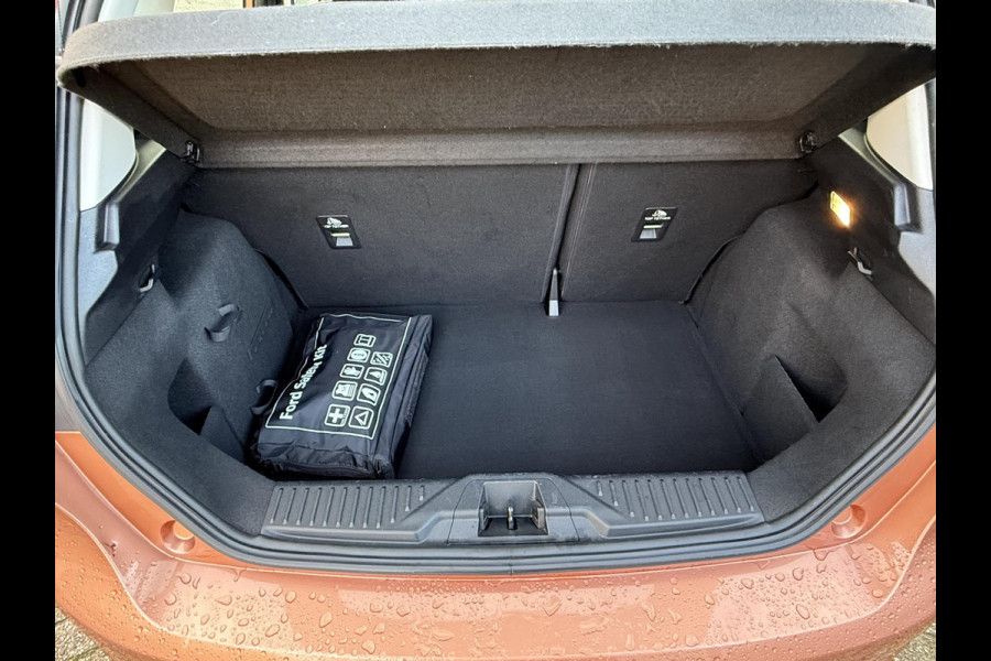 Ford Fiesta 1.0 EcoBoost Titanium 100pk Trekhaak | Camera | Clima | Navi | DAB+