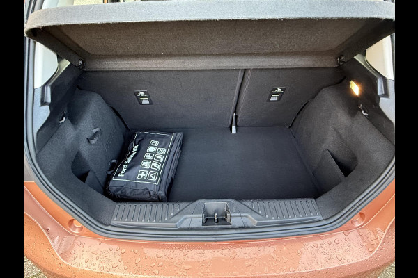 Ford Fiesta 1.0 EcoBoost Titanium 100pk Trekhaak | Camera | Clima | Navi | DAB+