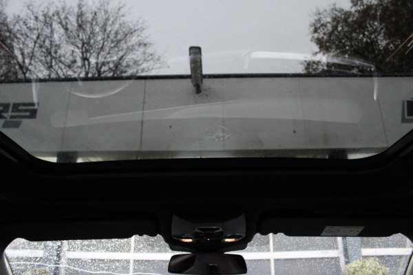 BMW iX2 EDrive20 67 kWh/M-Pakket/Pano