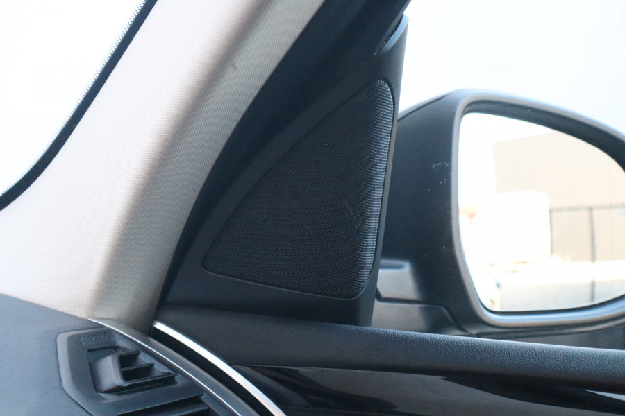 BMW X3 xDrive30e Business Edition Plus Pano Dak / Leder / 360 camera / HiFi /