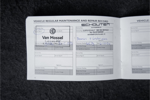 MG Mg Zs EV Luxury 45 kWh Pano ACC Leder Navi Camera