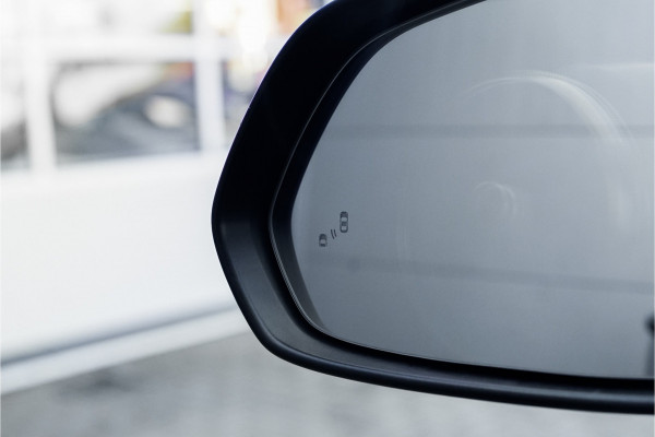 MG Mg Zs EV Luxury 45 kWh Pano ACC Leder Navi Camera