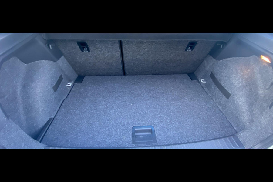 Seat Ibiza 1.0 TSI FR Autom. Bus. Intense Pano/ Beats/ LED/ Privacyglass