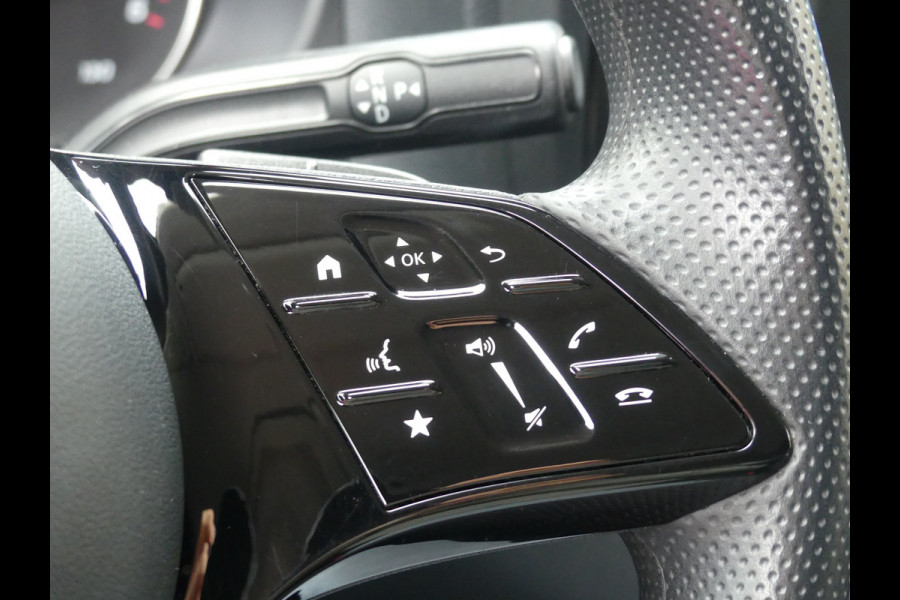 Mercedes-Benz Vito 116 CDI LANG Camera/Cruise control/Side bars