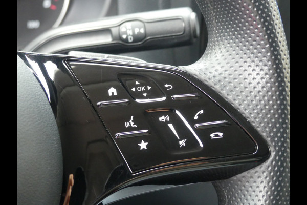 Mercedes-Benz Vito 116 CDI LANG Camera/Cruise control/Side bars