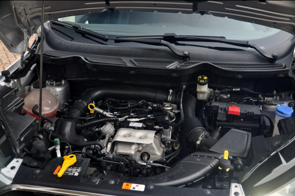 Ford EcoSport 1.0 EcoBoost 125 PK Titanium | Navigatie | Trekhaak | All season |  Nette staat!