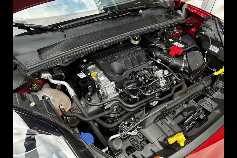 Ford Puma 1.0 EcoBoost Hybrid ST-Line X First Edition / Camera / Keyless / Pano dak / 18" LM / Winterpack