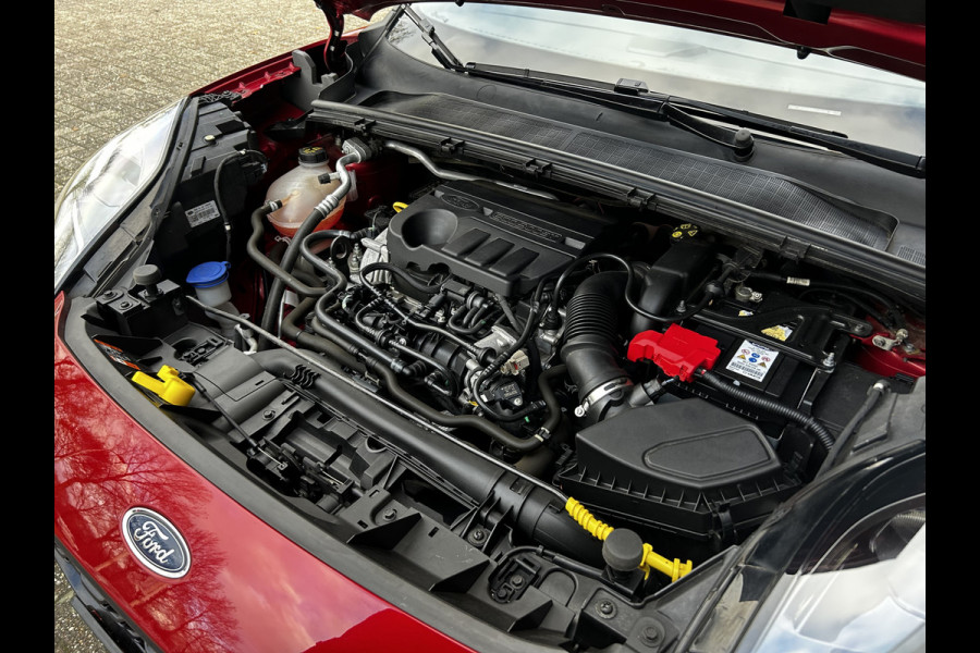 Ford Puma 1.0 EcoBoost Hybrid ST-Line X First Edition / Camera / Keyless / Pano dak / 18" LM / Winterpack