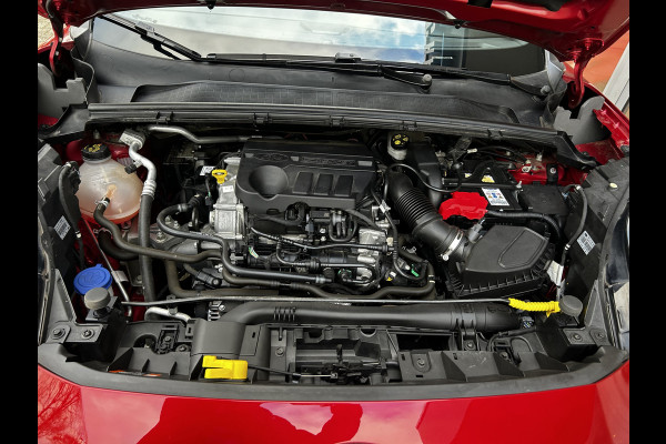 Ford Puma 1.0 EcoBoost Hybrid ST-Line X First Edition / Camera / Keyless / Pano dak / 18" LM / Winterpack