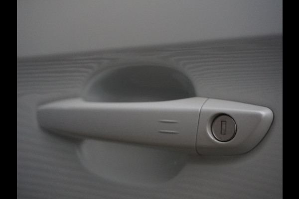 Opel Grandland X 1.2 Turbo Business Executive Trekhaak