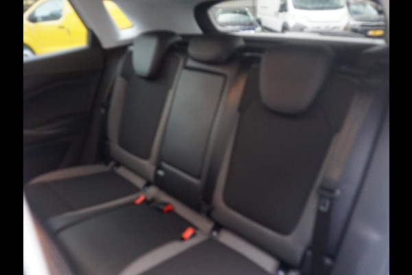 Opel Grandland X 1.2 Turbo Business Executive Trekhaak