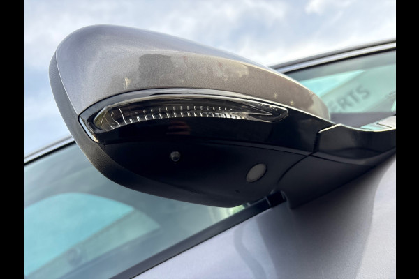 Renault Grand Scénic 1.3 TCe Bose 7p (RIJKLAARPRIJS/BOVAG)