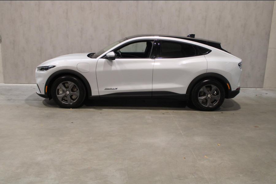 Ford Mustang Mach-E Extended RWD 98 kWh Leer|B&O|Camera|Panoramadak
