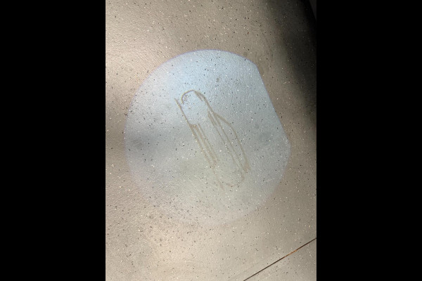 Land Rover Range Rover Evoque 1.5 P300e AWD BLACK-LINE NAVI/V-COCKPIT/LEDER/DAB/CARPLAY/LED/CAM/M-STOELEN///