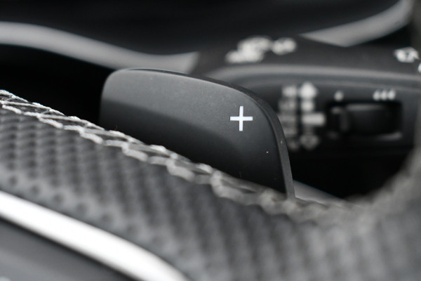 Audi Q7 55 TFSI e quattro S-Line Pano 22inch Contourzetels Luchtv