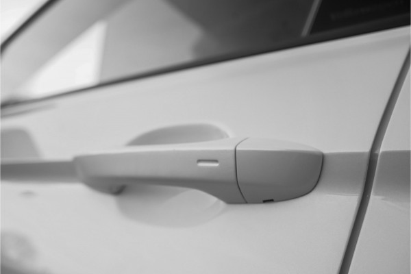 Volkswagen Tiguan Allspace 1.5 TSI R-Line 7-Pers Pano Camera 19"