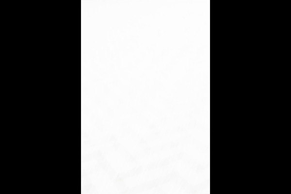 Mercedes-Benz E-Klasse 300 e AMG Premium, Pano, Hyperscreen, Distronic, Nightpack 2024