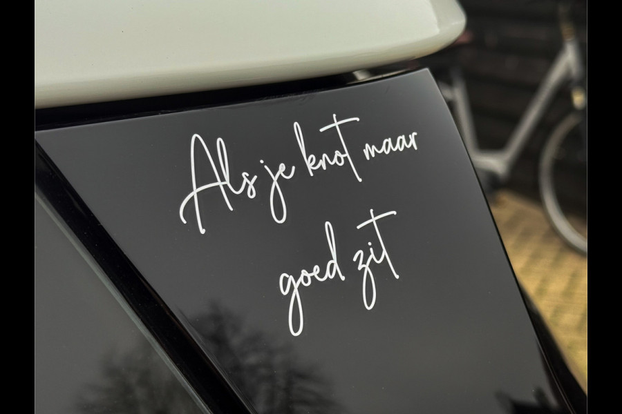 MINI Countryman 2.0 Cooper S Salt - Leder! Navi, Adap. Cruise, Achteruitrijcam, Automaat, Airco!