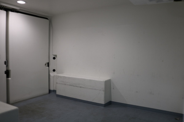 Fiat Ducato 2.2 MJ L1 H1 Koelwagen Airco Navigatie Camera