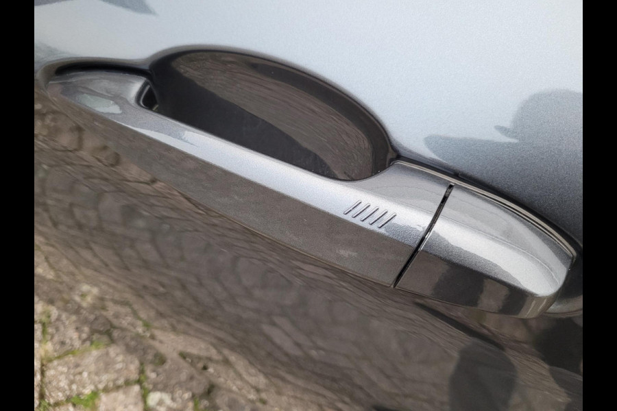 BMW X1 XDrive25e Pano, Camera, HUD, Leer, High Executive