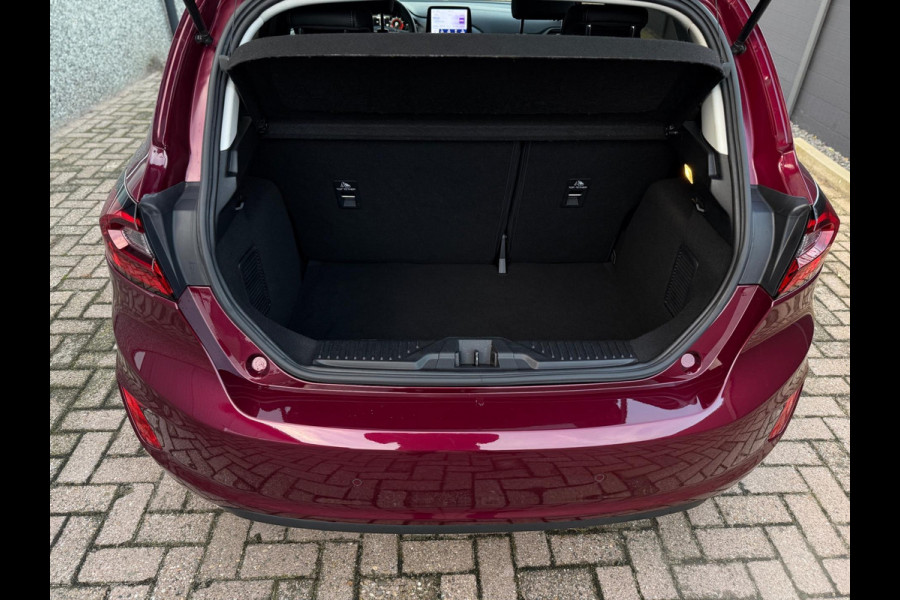 Ford Fiesta 1.0 EcoBoost Hybrid Titanium X Vignale