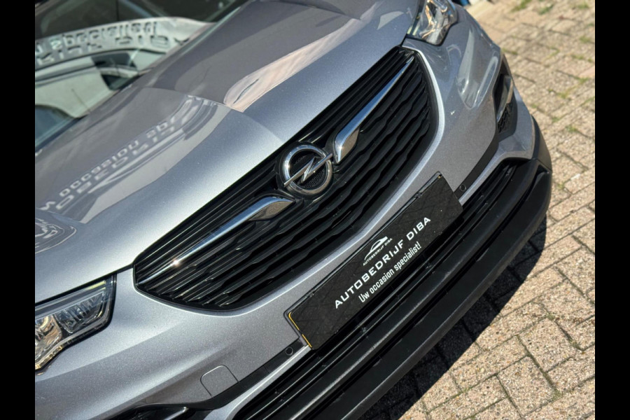Opel Grandland X 1.2 Turbo Edition 2019 NAVI CAMREA LM NAP!
