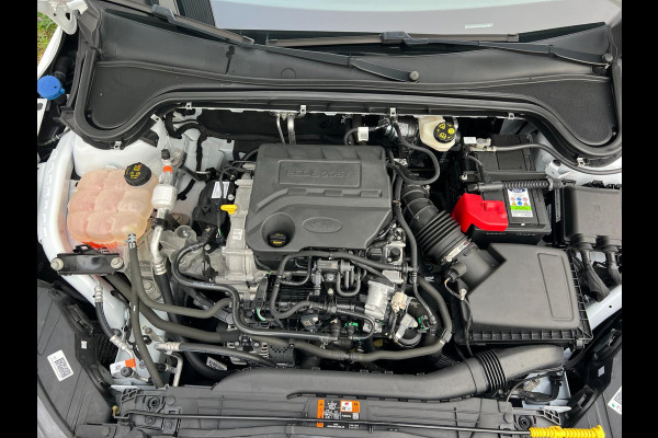 Ford Focus 1.0 EcoBoost Hybrid Edition Business | CarPlay | Camera | NAVI