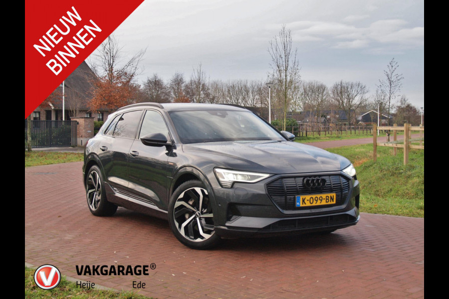 Audi e-tron 55 quattro Business edition 95 kWh | Camera | BANG & OLUFSEN | Head-Up Display | Apple Carplay |