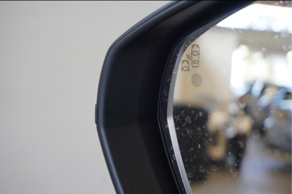 Opel Grandland X 1.2 Turbo Innovation Trekhaak Leer 19 inch LMV