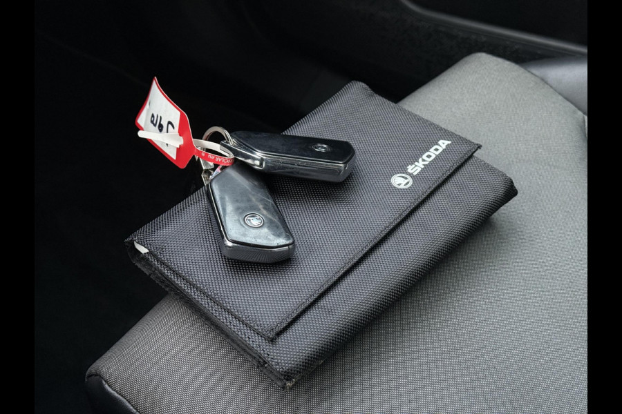 Škoda ENYAQ iV 80 Aut. | Navi | Trekhaak | Camera |