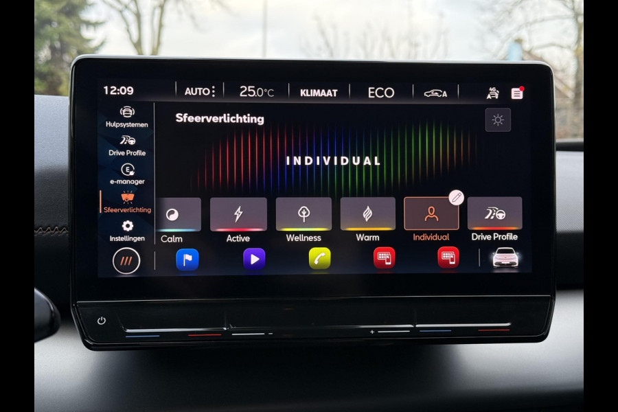CUPRA Born Business 62 kWh | Navi | Camera | Carplay |