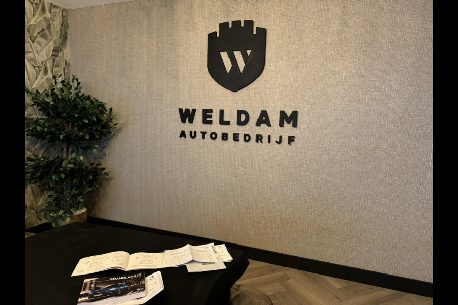 Opel Grandland X 1.6 Turbo Hybrid4 Innovation Garantie Camera Elek Achterklep Carplay Blindspot Cruise Clima Navi Led Rijklaar