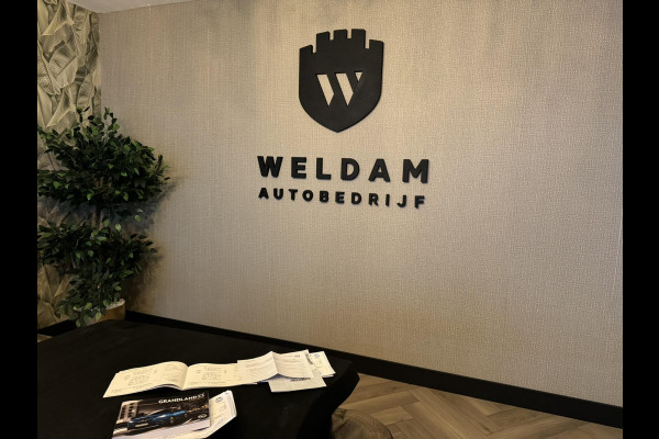 Opel Grandland X 1.6 Turbo Hybrid4 Innovation Garantie Camera Elek Achterklep Carplay Blindspot Cruise Clima Navi Led Rijklaar