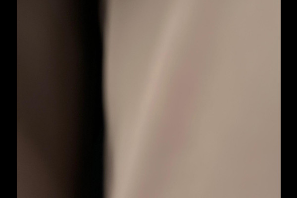 Peugeot 208 1.2 PureTech GT-Line NL-AUTO | PANODAK | CAMERA