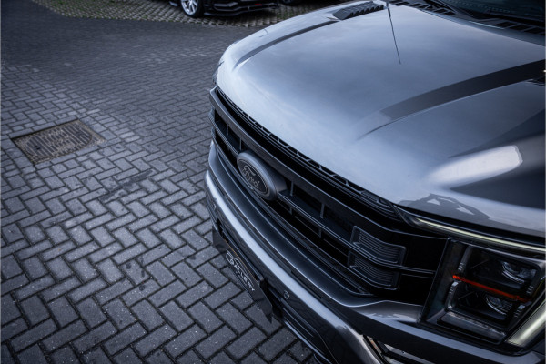 Ford USA F-150 5.0 V8 XLT - Panorama | B&O | 360 Camera | Memory