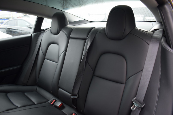 Tesla Model 3 Standard RWD Plus 60 kWh | AutoPilot | 19” LM Velgen | Pano