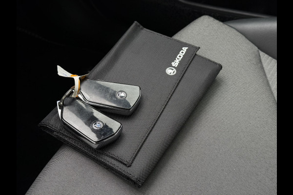 Škoda ENYAQ iV 60 | Trekhaak | Panorama | Navi |