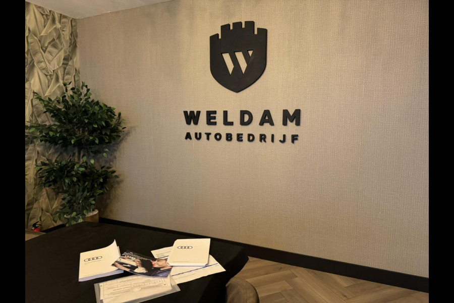 Audi Q3 35 TFSI S edition Garantie Trekhaak Leder Camera StoelVW Elek Achterklep Cruise Navi Clima Led Rijklaar