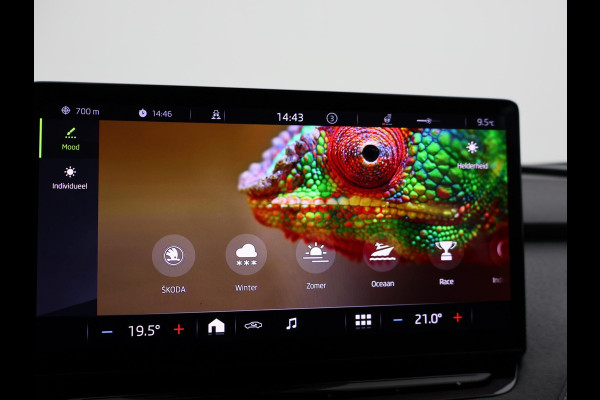 Škoda ENYAQ iV 80 + CAMERA | ADAPTIVE CRUISE | SFEERVERLICHTING | CARPLAY | STUURVERW.