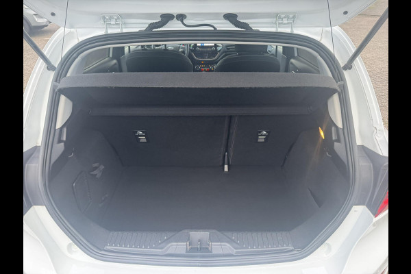 Ford Fiesta 1.0 EcoBoost Titanium 100pk | Adaptive cruise control | Bang&Olufsen | Winter Pack | Camera | Lichtemetalen velgen