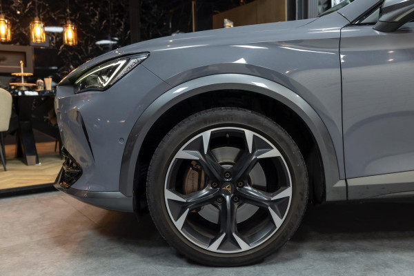 CUPRA Formentor 2.0 TSI 4DRIVE|PANO|LEDER|CLIMATE|NAVI