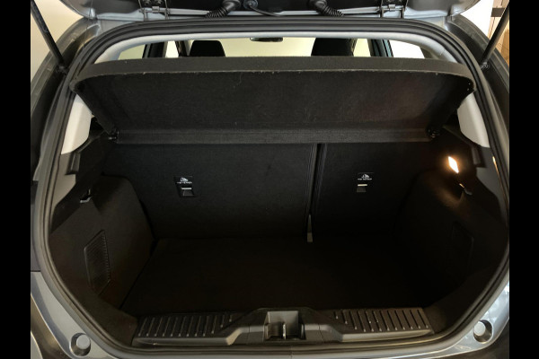 Ford Fiesta 1.0 EcoBoost Hybrid Titanium AIRCO NAVI CRUISE BLUETOOTH APPLE CARPLAY PDC CHROOM ZEER NETTE AUTO