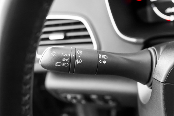 Renault Mégane Estate 1.6 E-Tech Plug-In Hybrid 160 Business Camera Navi