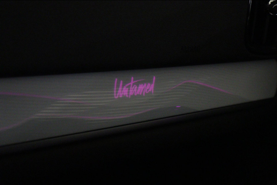 MINI Countryman 2.0 Cooper S E ALL4 Untamed Edition NAP/PANO/H-K/MEM/CARPLAY/VOL