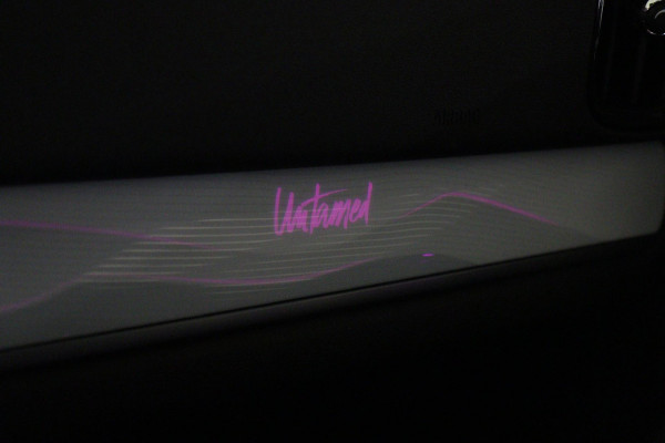 MINI Countryman 2.0 Cooper S E ALL4 Untamed Edition NAP/PANO/H-K/MEM/CARPLAY/VOL