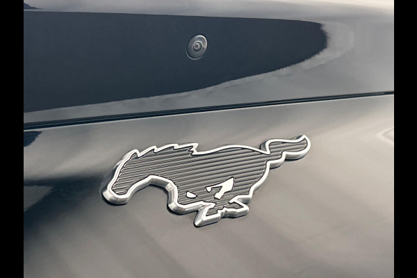 Ford Mustang Mach-E RWD 75 kWh | Origineel NL | B&O | Rondomzicht/Camera | Leder